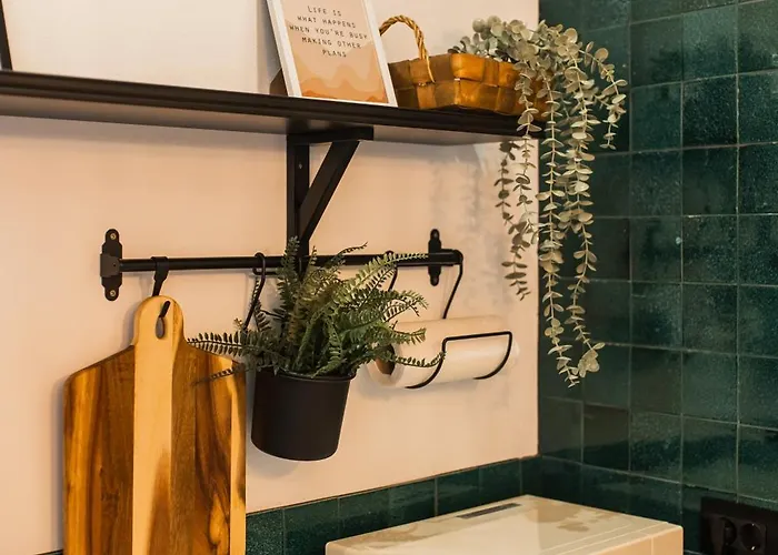 Moodee - Piata Sfatului